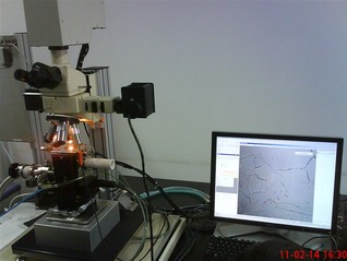 激光共聚焦高溫掃描顯微鏡